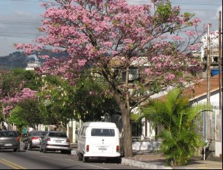 Volta Redonda: Economia Forte e Lazer ível!