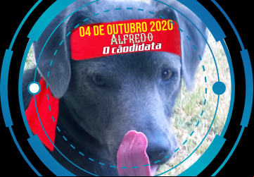 Sou o ALFREDO, o CÃODIDATA, porque cachorro respeita cachorro, e os "cachorros" dus pulíticus que tão pur aí, NÃO TÃO NEM AÍ.... o CÃODIDATA, o melhor amigu du home sabi das coisa