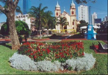 Alfenas, Capital dos andarilhos, dos sem teto e dos cães de rua...