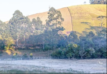 Maria da Fé e Monte Verde, cidades mais frias de Minas