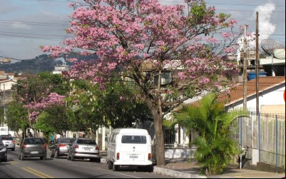 Volta Redonda: Economia Forte e Lazer ível!