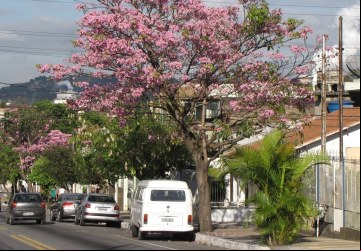 Volta Redonda: Economia Forte e Lazer ível!